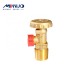 Good check valve price manufacturers for African market